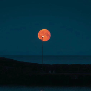 男同电影兄弟向上翘
